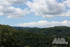 image_25