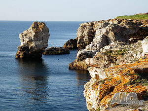 image_10