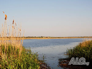 image_11