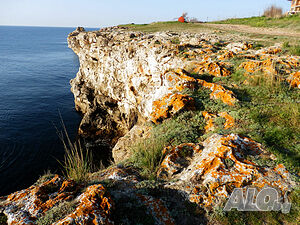 image_13