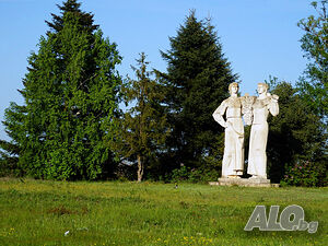 image_15