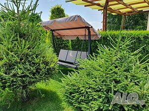 image_46