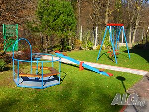 image_6