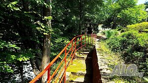 image_17