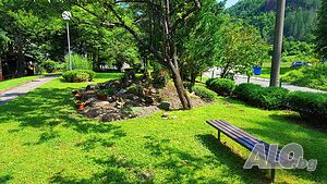 image_22