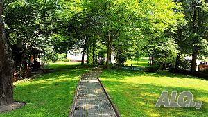 image_23