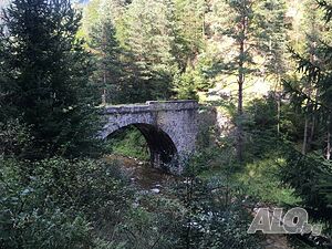 image_33