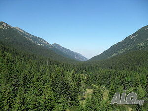 image_22