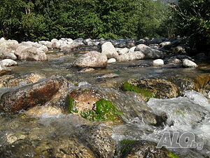 image_23