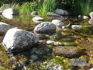 image_24