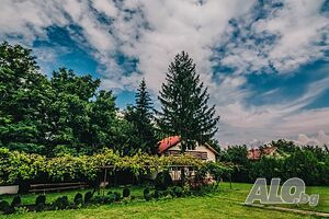 image_31