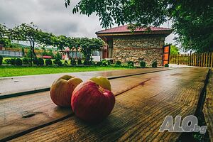 image_29