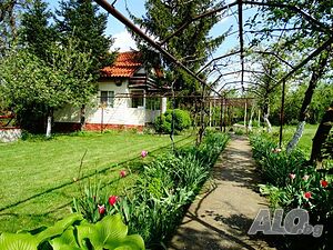 image_25