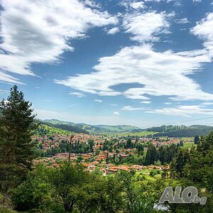 image_12