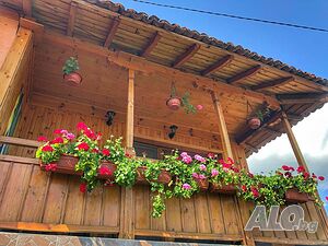 image_19