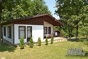 image_26