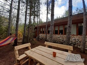image_40