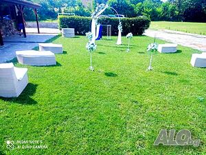 image_11