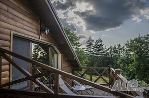image_49