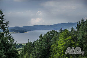 image_14