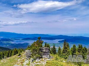 image_23