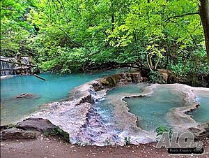 image_22