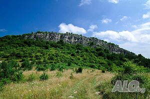 image_3
