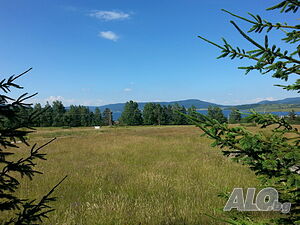 image_15