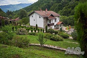 image_53
