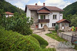 image_50