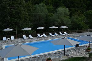 image_44