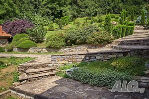 image_56