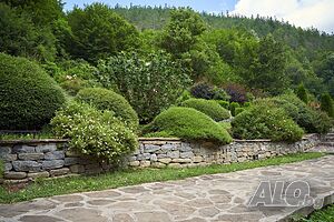 image_62