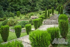 image_30