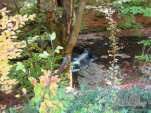 image_27