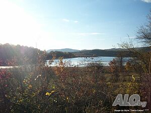 image_15
