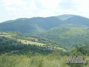 image_17