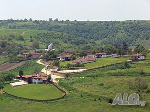 image_8