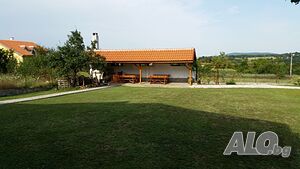image_8