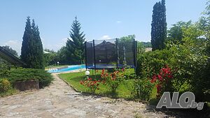 image_8