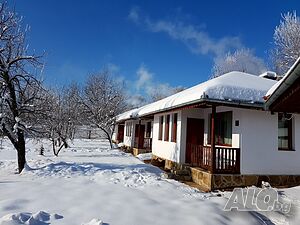 image_2