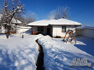 image_3