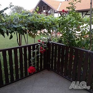 image_22