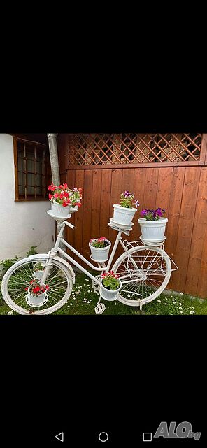 image_11