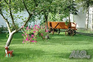 image_19