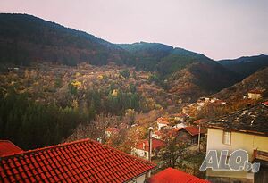 image_25