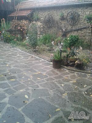 image_7