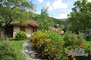 image_21