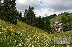 image_6