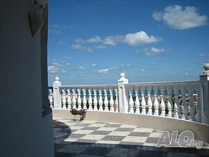image_8
